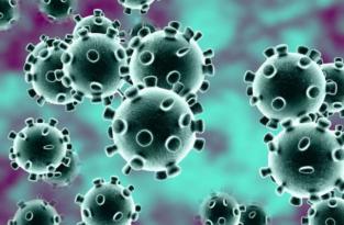 Informatie m.b.t. het Coronavirus Informatie m.b.t. het Coronavirus